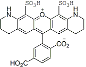 OK-F.Rh.488类似物(6-isomer)